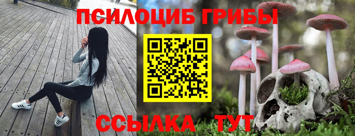 Миллерово  Псилоцибиновые грибы мицелий  Псилоцибиновые грибы Cubensis  Вход с VPN 