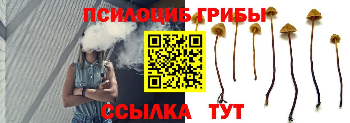 Псилоцибиновые грибы Magic Shrooms Миллерово